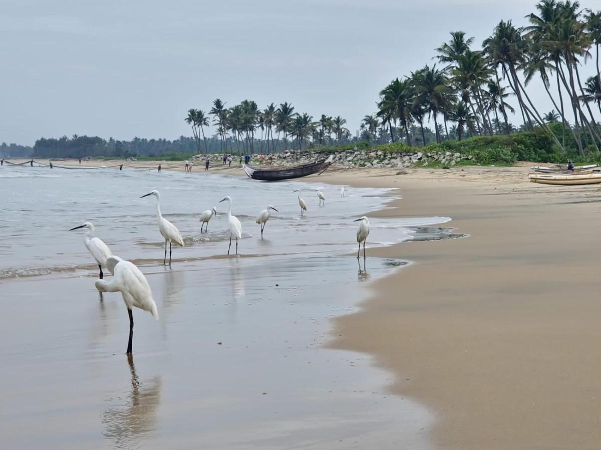 Lavender Residency Bed & Breakfast Varkala Bagian luar foto